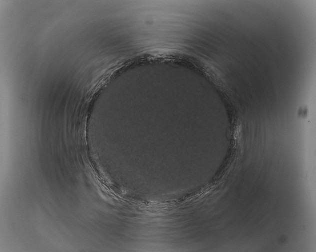 X0000111460868200907201111