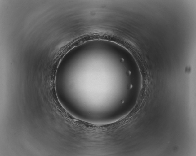 X0000111460869200907201111