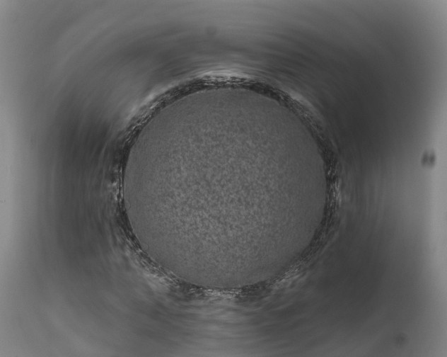 X0000111460870200907201111