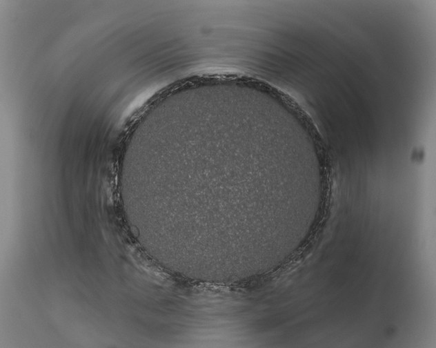 X0000111460871200907201111