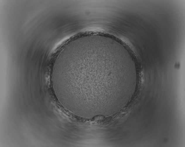 X0000111460872200907201111