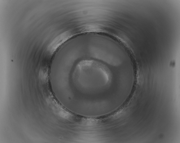 X0000111460873200907201111