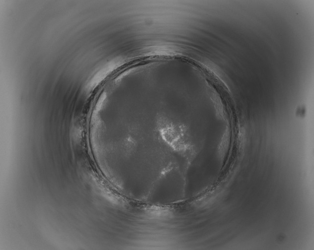 X0000111460874200907201111