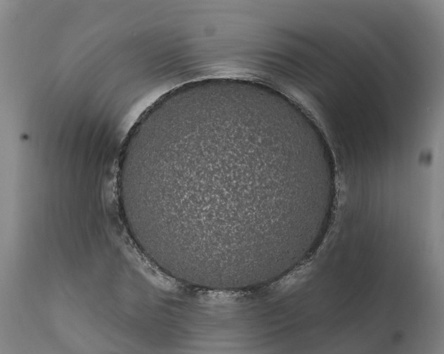 X0000111460875200907201111