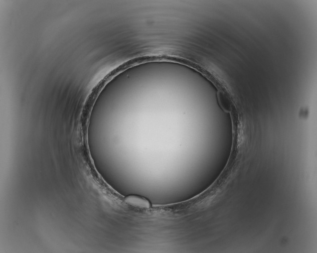 X0000111460876200907201111