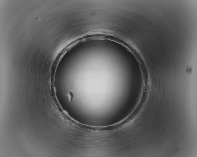 X0000111460877200907201111