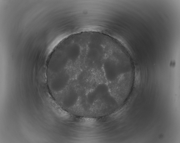 X0000111460878200907201111