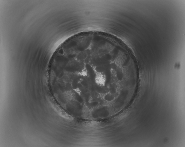 X0000111460879200907201111