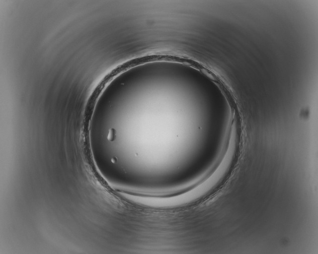 X0000111460880200907201111