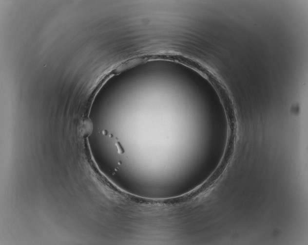 X0000111460881200907201111