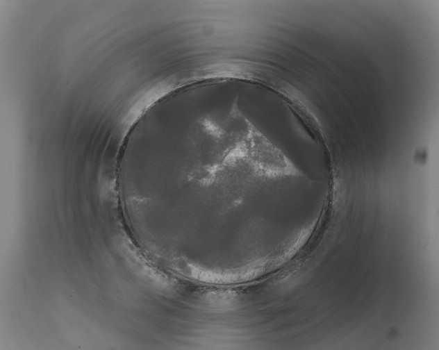 X0000111460882200907201111