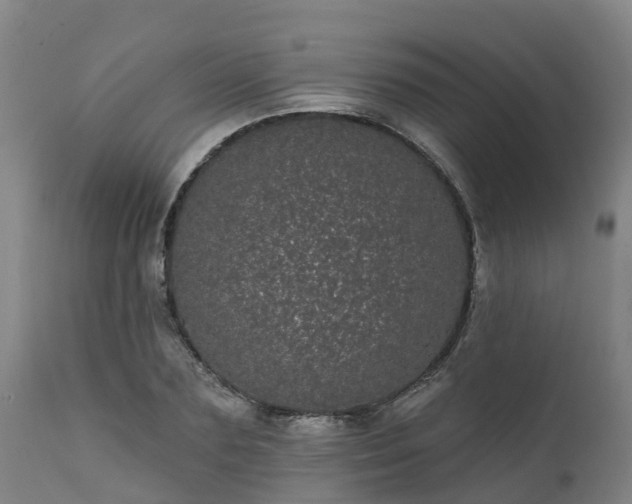 X0000111460883200907201111