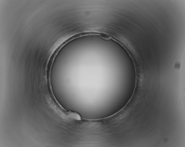 X0000111460884200907201111