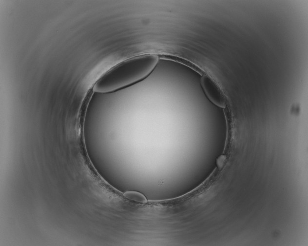 X0000111460885200907201111