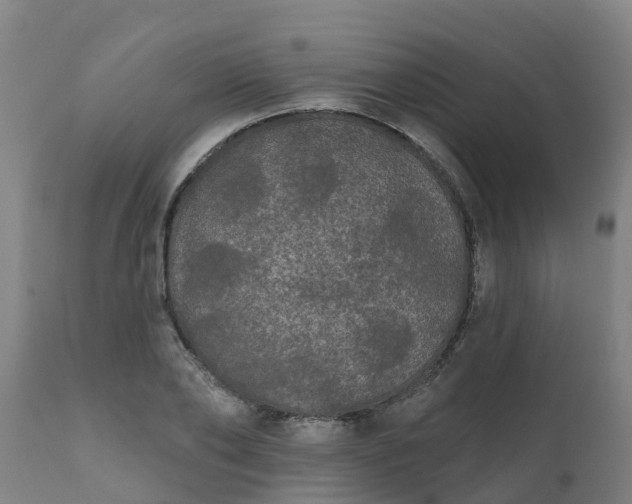 X0000111460886200907201111