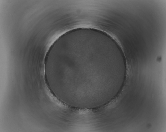 X0000111460887200907201111