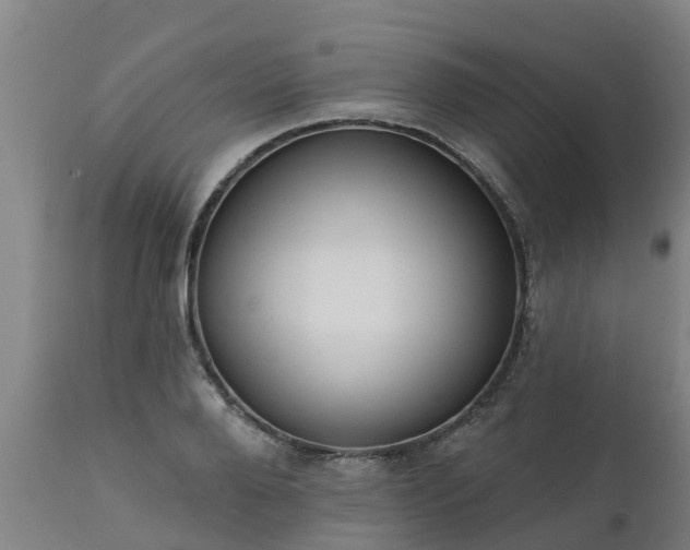 X0000111460888200907201111