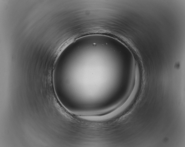 X0000111460889200907201111