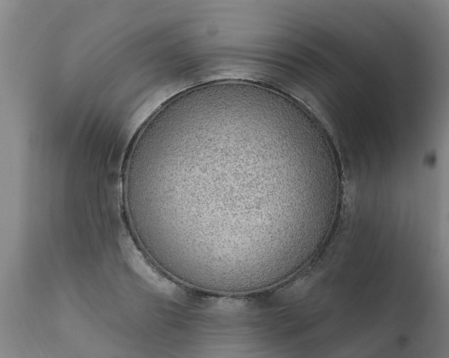 X0000111460890200907201111