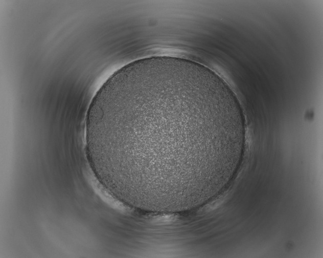 X0000111460891200907201111