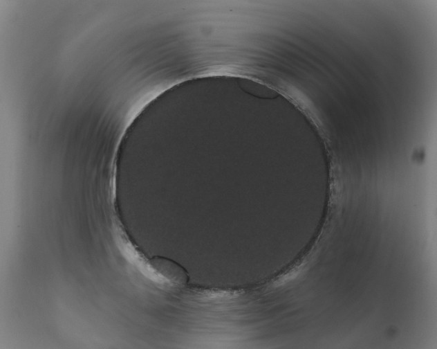 X0000111460892200907201111