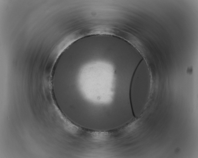 X0000111460893200907201111