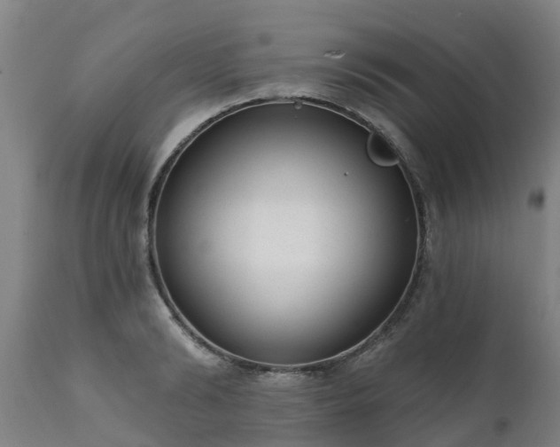 X0000111460894200907201111