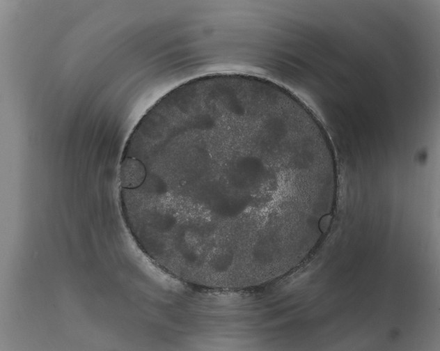 X0000111460895200907201111