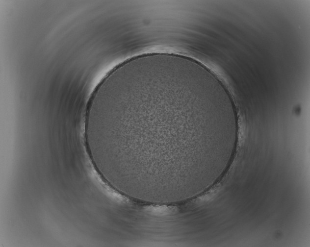 X0000111460896200907201111