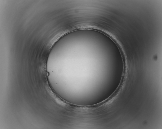 X0000111460897200907201111