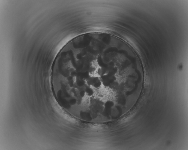 X0000111460899200907201111