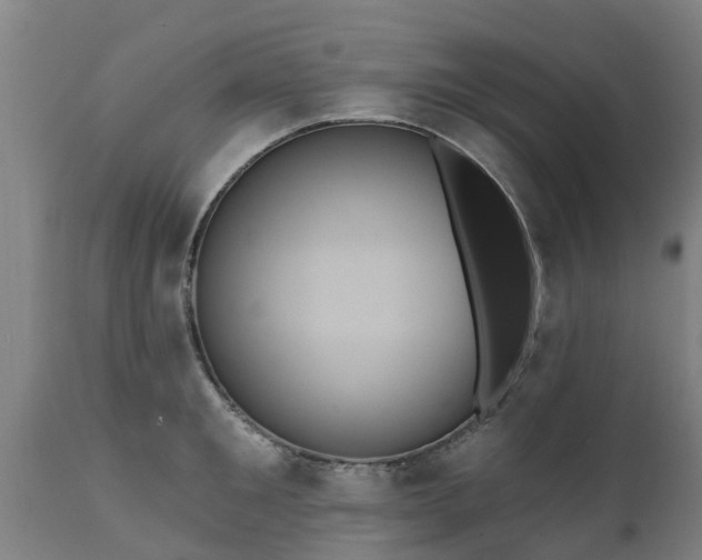 X0000111460901200907201111