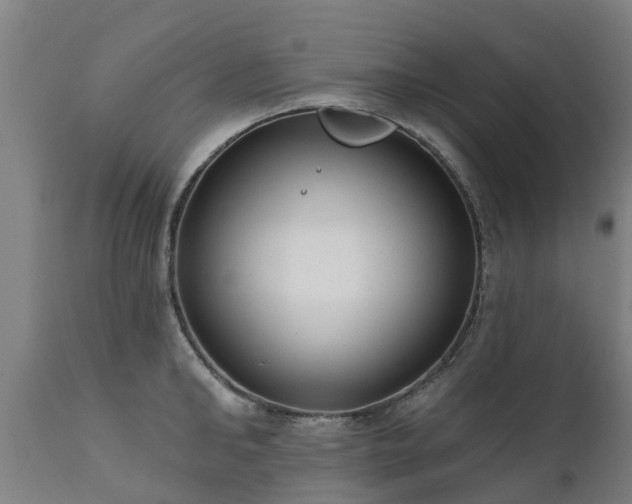 X0000111460902200907201111