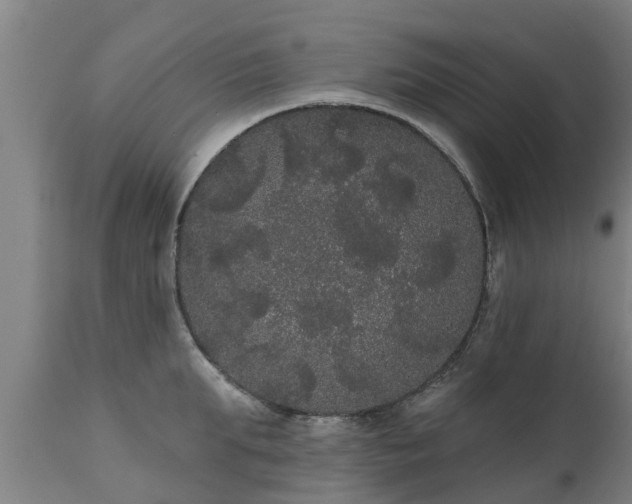 X0000111460903200907201111