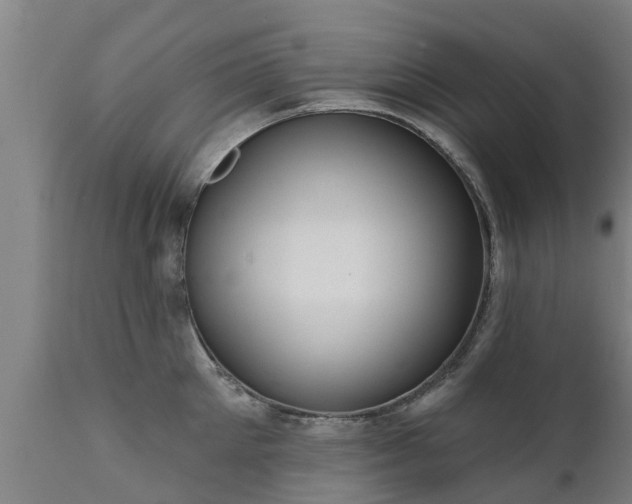 X0000111460905200907201110