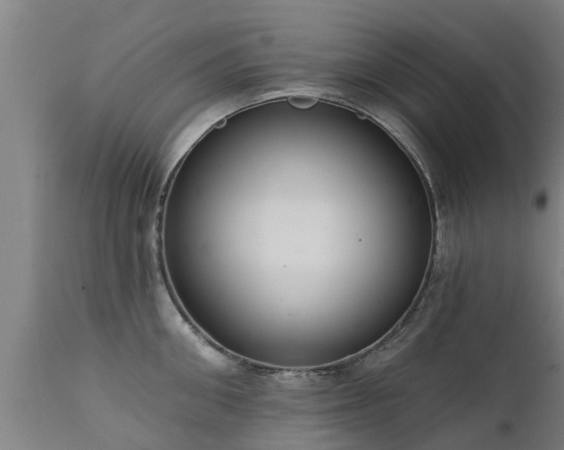 X0000111460906200907201110