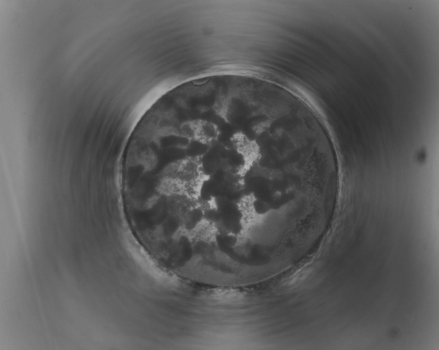 X0000111460907200907201110