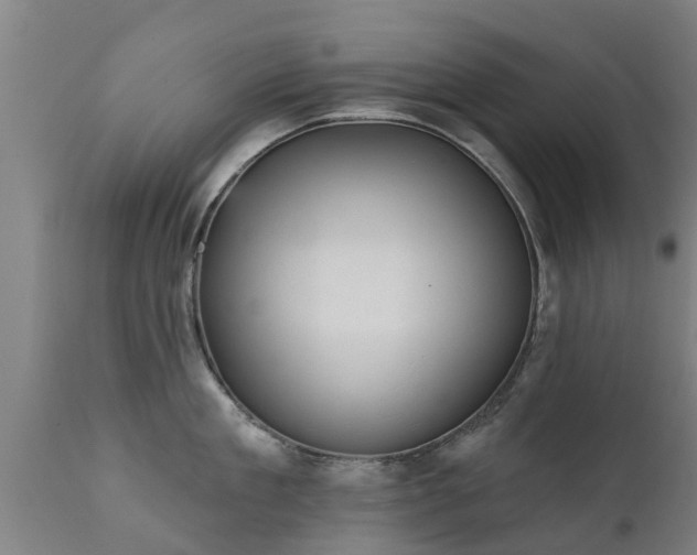 X0000111460909200907201110