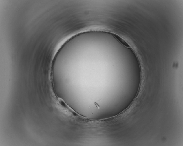 X0000111460912200907201110