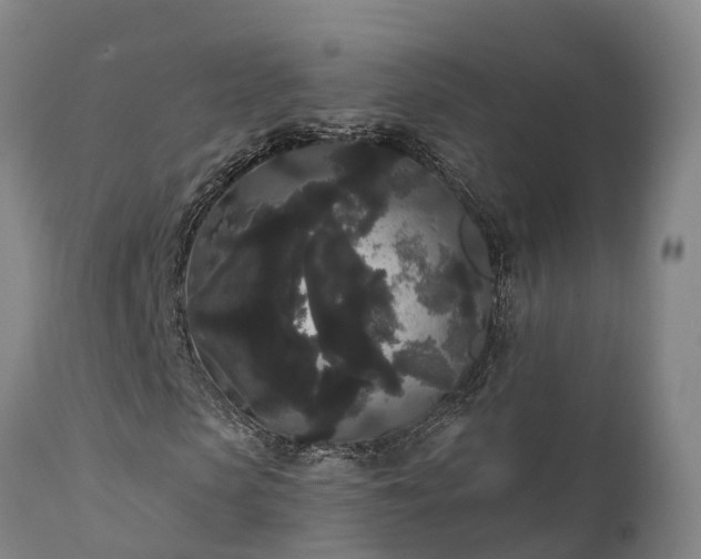 X0000111460913200907201109