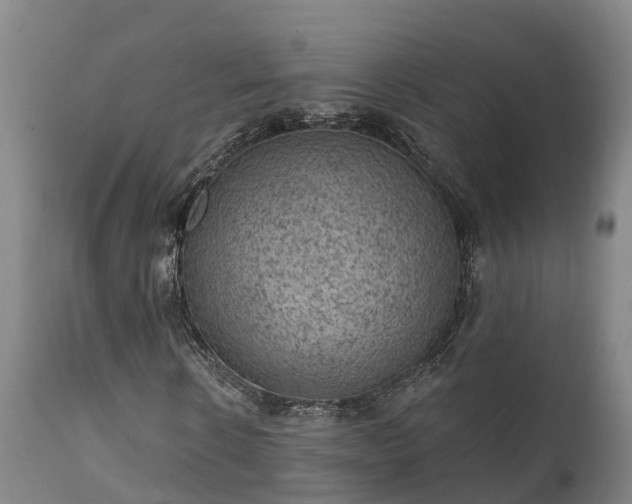 X0000111460914200907201109