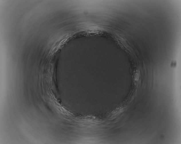 X0000111460916200907201109