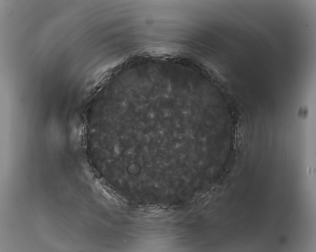 X0000111460917200907201109