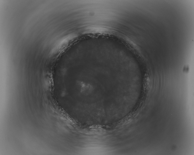 X0000111460918200907201109