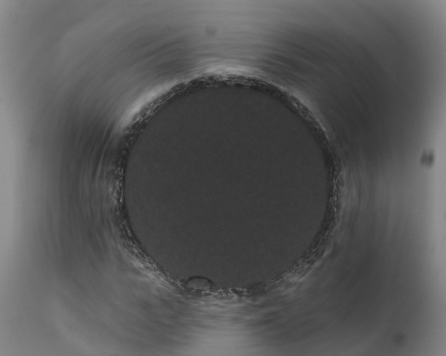 X0000111460919200907201109