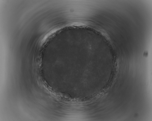 X0000111460920200907201109