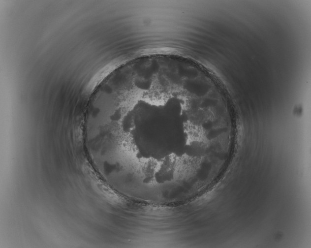 X0000111460921200907201109