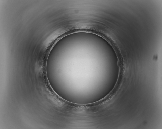 X0000111460922200907201110