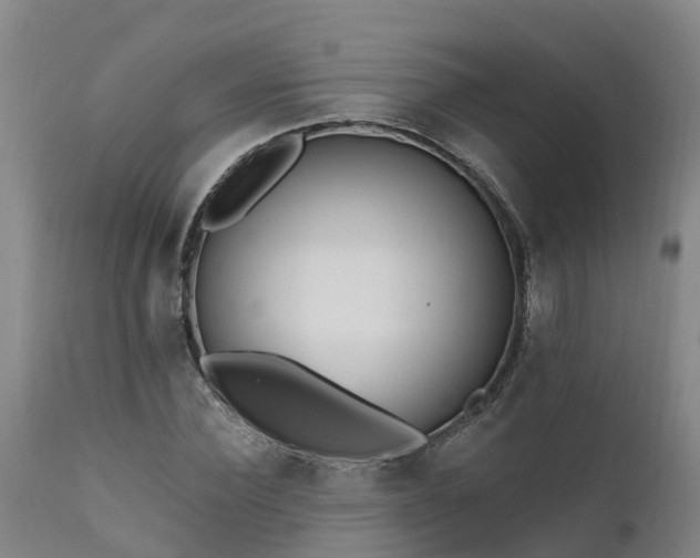 X0000111460924200907201110