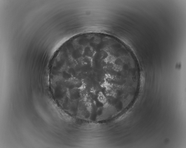 X0000111460925200907201110